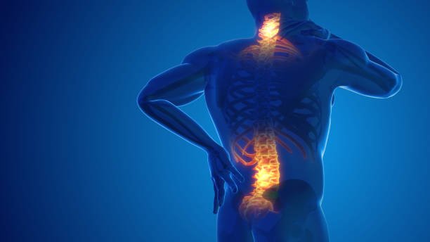 Fleming Island Chiropractic Care for Back Pain: Natural Relief That Works